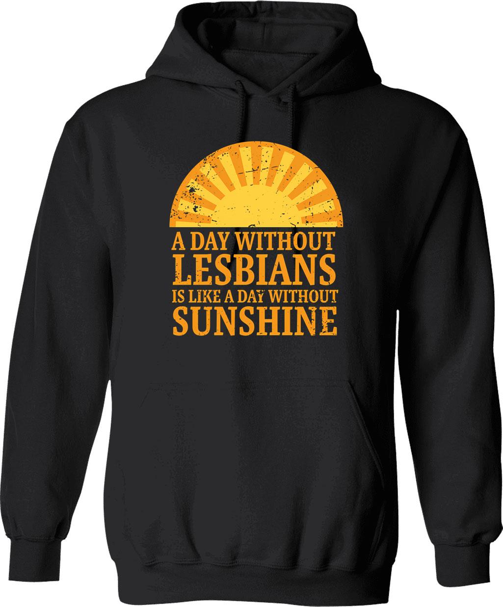 A Day Without Lesbians Is Like A Day Without Sunshine Hoodie - Black