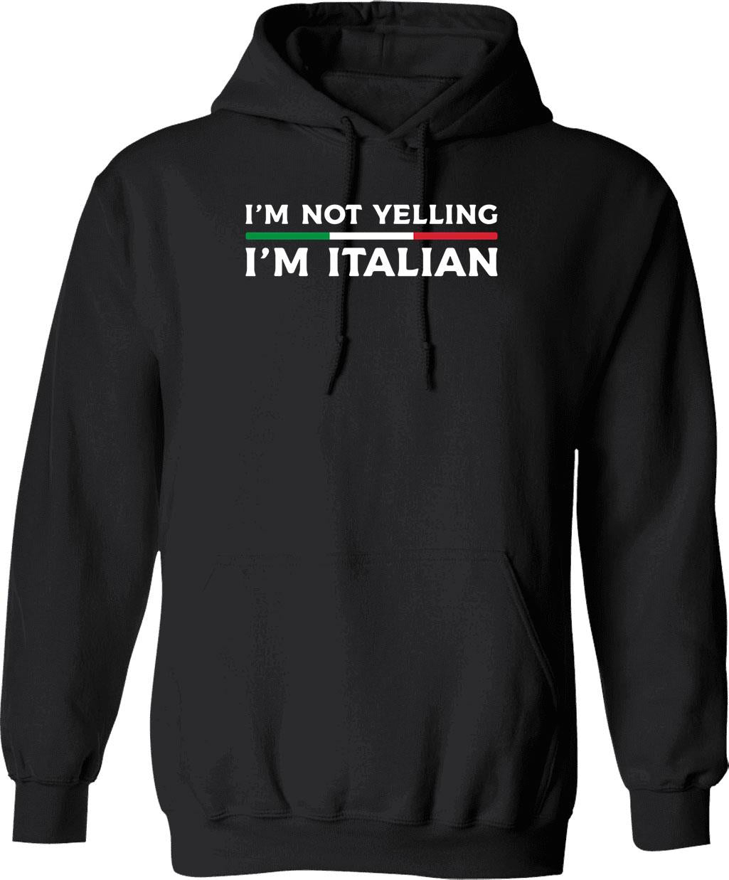 Funny Italian Artists Turtles Art Lovers Gift Renaissance Ninja Artists For Women Men Classic T Shir Hoodie - Black