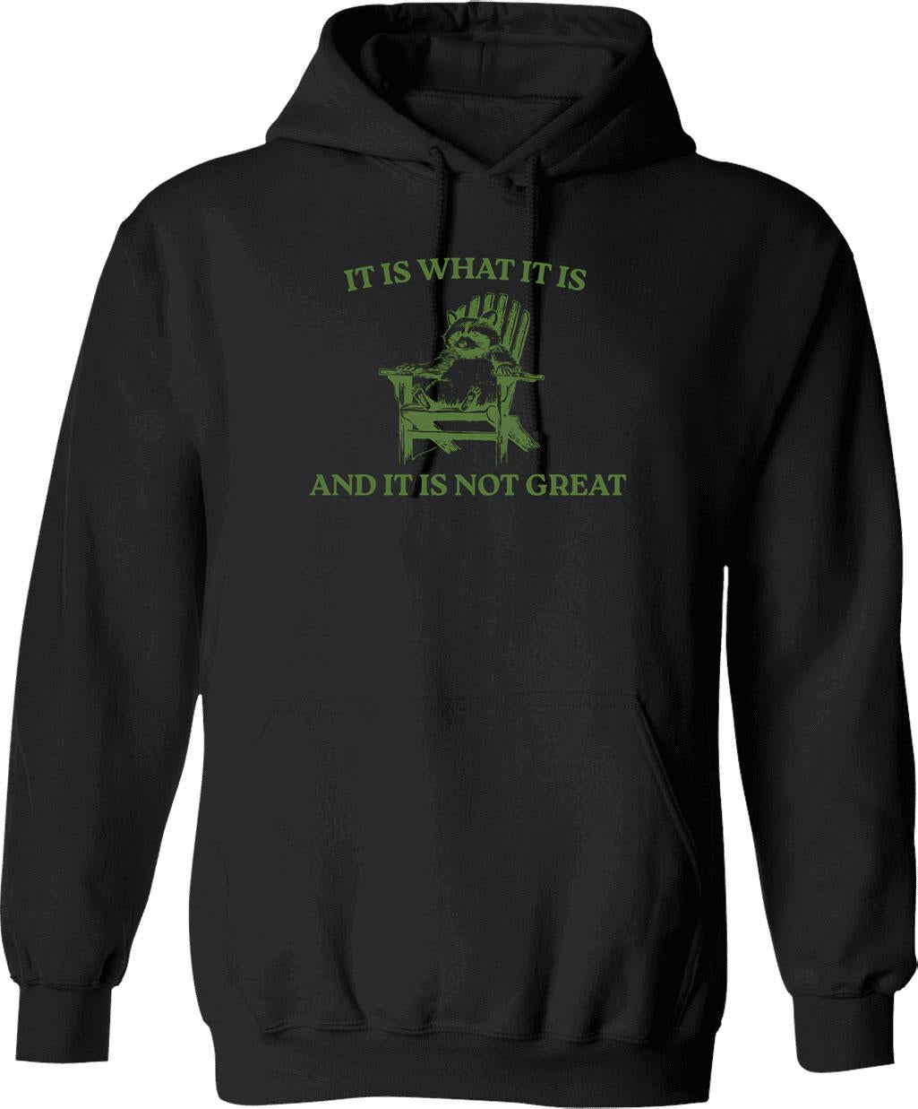 It Is What It Is And It Is Not Great Memes Hoodie - Black