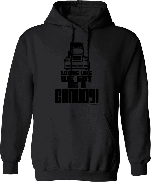 Looking Rhcp Best Logo Hoodie - Retro Graphic Pullover Hoodie for Men & Women - Black