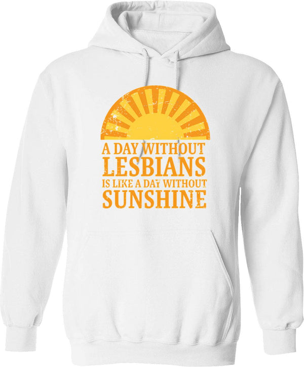 A Day Without Lesbians Is Like A Day Without Sunshine Hoodie - White