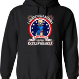 A Salute To All Nations But Mostly America Fireworks Extravaganza Graphic Pullover Hoodie - Black