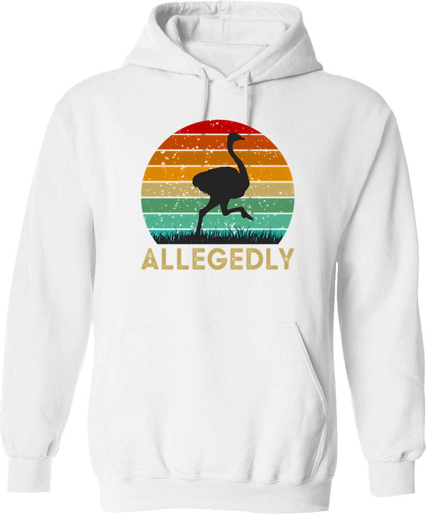 Allegedly Hoodie - Retro Graphic Pullover Hoodie for Men & Women - White