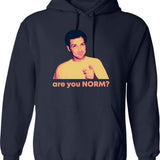 Are You Norm Hoodie - Retro Graphic Pullover Hoodie for Men & Women - Navy