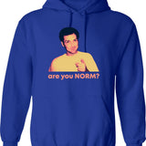 Are You Norm Hoodie - Retro Graphic Pullover Hoodie for Men & Women - Blue