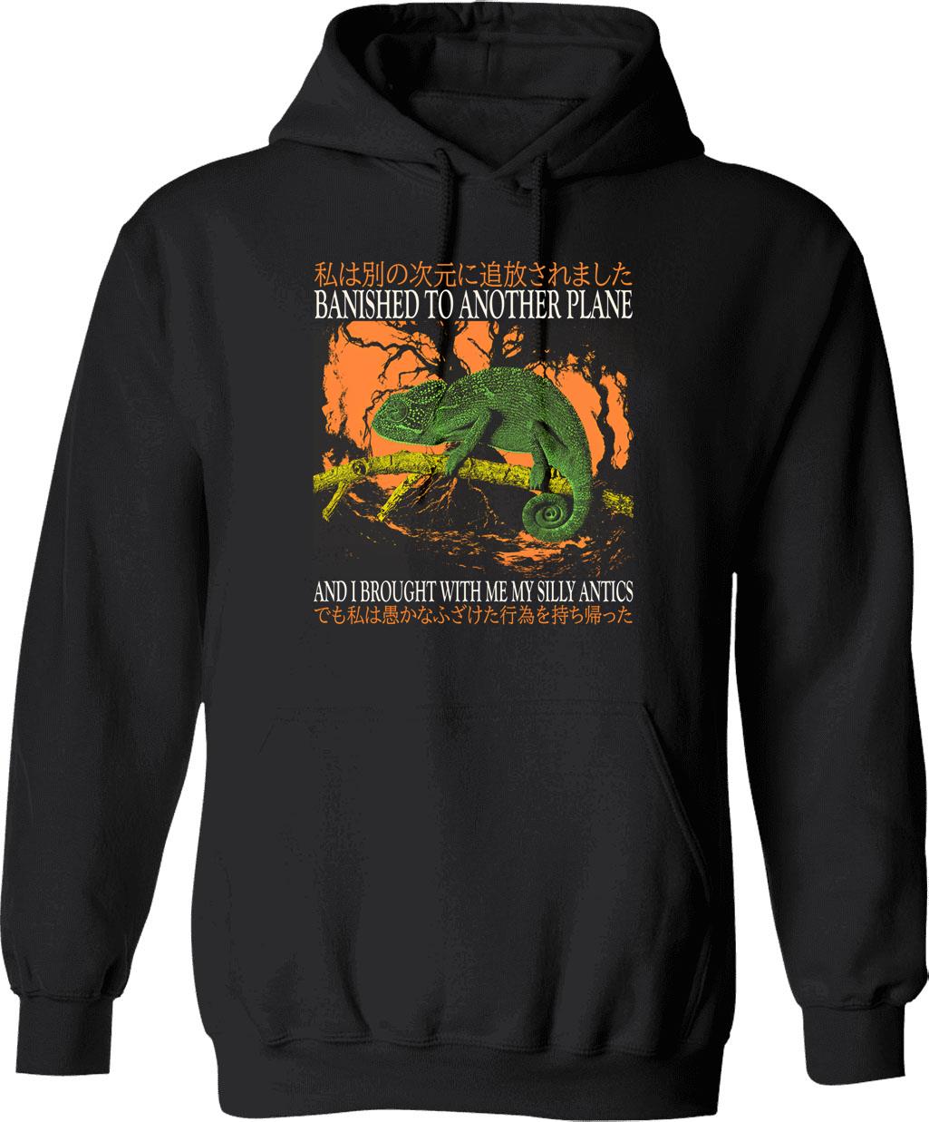 Banished Chameleon Vintage Japanese Hoodie - Retro Graphic Cosy Pullover - Black