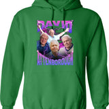 David Attenborough BBC Nature Documentary Lover Bootleg Rap Graphic Pullover Hoodie - Green