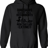 Dinosaurs Didn't Ride Recumbents Now They Are Extinct Funny Recumbent Bike Hoodie - Black