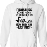 Dinosaurs Didn't Ride Recumbents Now They Are Extinct Funny Recumbent Bike Hoodie - White
