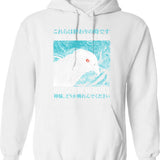 End The Fed Vintage Hoodie - Retro Graphic Cosy Pullover - White