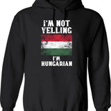 Funny Humor Saying- I'm Not Arguing I'm Just Explaining Why I'm Right Hoodie - Black