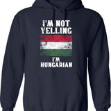 Funny Humor Saying- I'm Not Arguing I'm Just Explaining Why I'm Right Hoodie - Navy