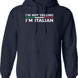 Funny Italian Artists Turtles Art Lovers Gift Renaissance Ninja Artists For Women Men Classic T Shir Hoodie - Navy
