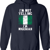 Funny Mushroom Forager Gift Amateur Mycologist With Questionable Morels In Vintage Style Hoodie - Navy