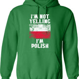 Funny Poker Player - No One Cares What You Folded Hoodie - Green