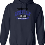Greendale College Jersey (white) Hoodie - Retro Graphic Pullover Hoodie for Men & Women - Navy