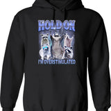 Hold My Coffee I Gotta Pet This Dog Vintage Sunset Dog Person Veterinarian Hoodie - Black