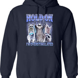 Hold My Coffee I Gotta Pet This Dog Vintage Sunset Dog Person Veterinarian Hoodie - Navy