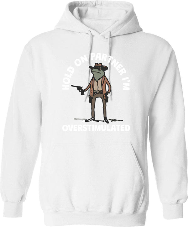Hold On Partner I'm Overstimulated Cowboy Frog Vintage Hoodie - White