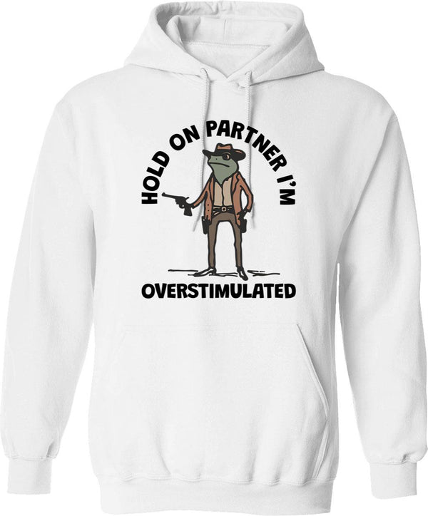 Hold On Partner I'm Overstimulated Cowboy Frog Vintage (1) Hoodie - White