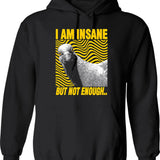 I Am Here Because You Broke Something Vintage Style Hoodie - Black