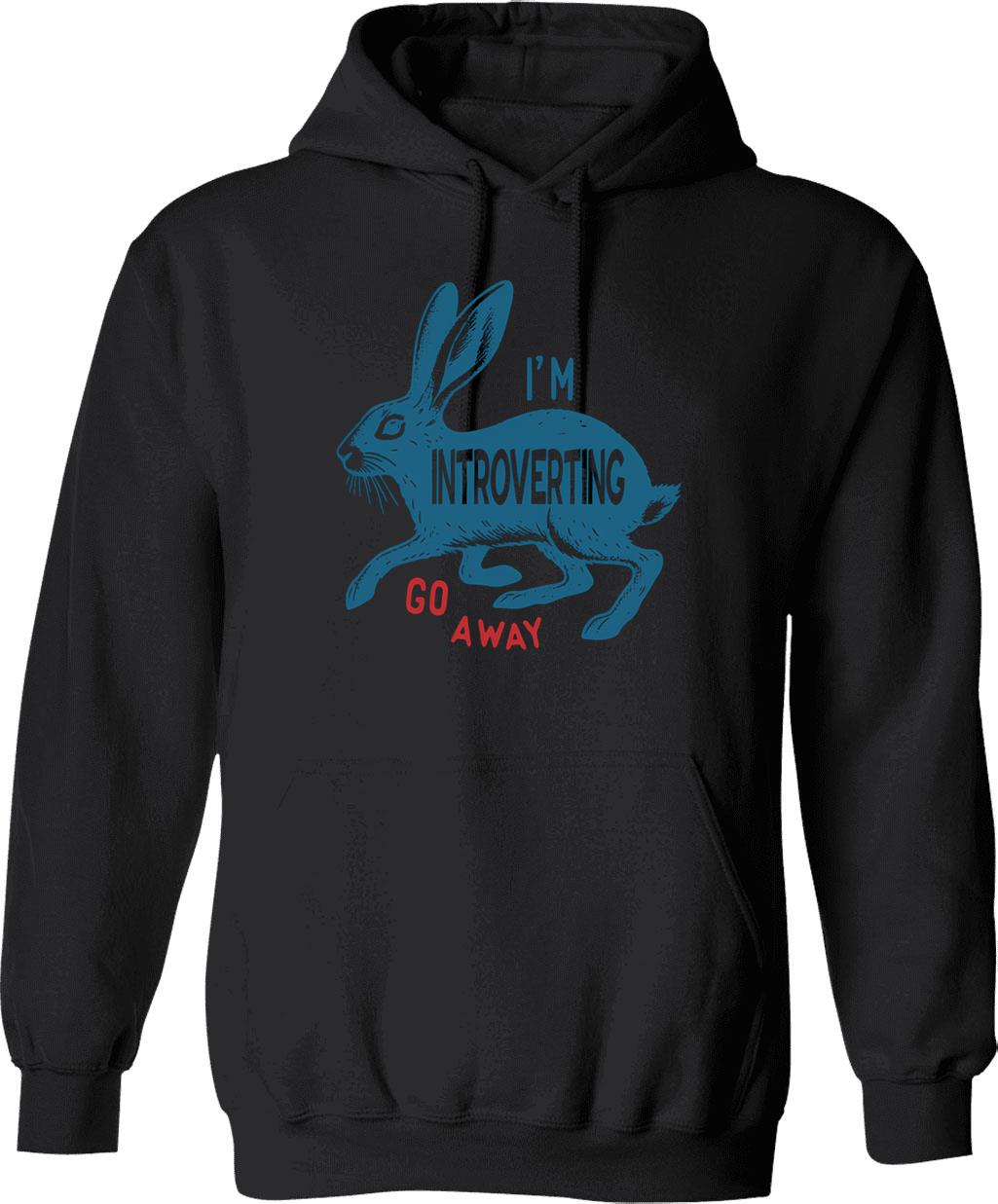 I Am Insane But Not Enough Pigeon Hoodie - Black