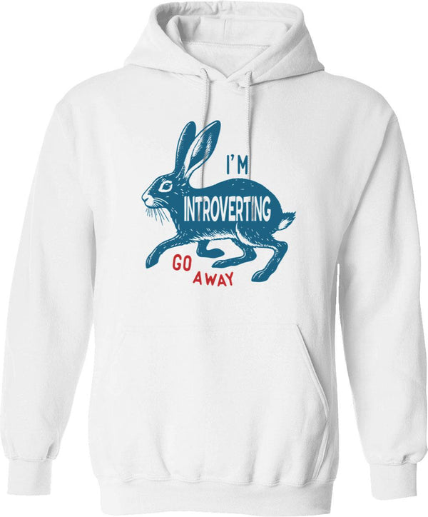 I Am Insane But Not Enough Pigeon Hoodie - White