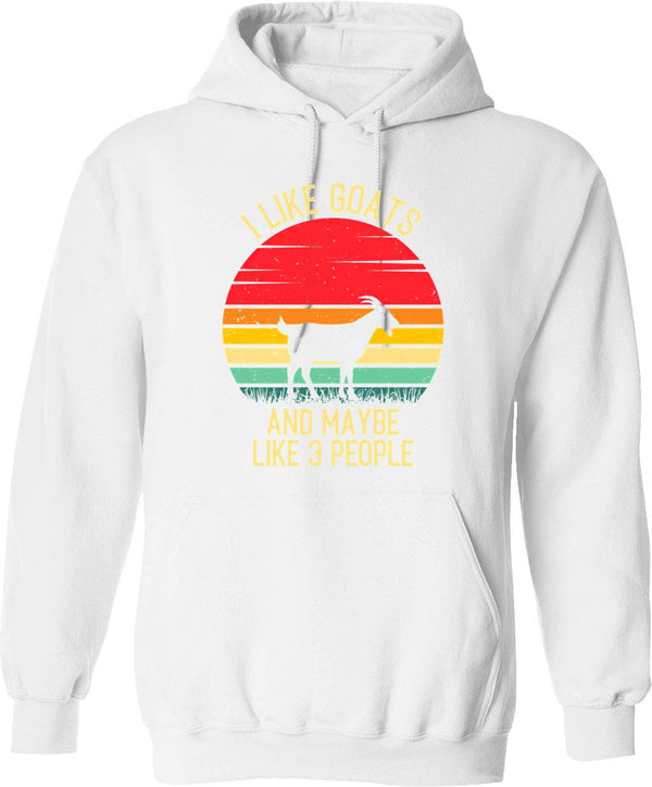 I Like Fishing And Maybe 3 People Hoodie - White