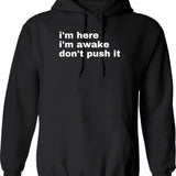 I'm Here For The Gangbang Inappropriate Y2k Sex Humor Hoodie - Black