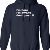 I'm Here For The Gangbang Inappropriate Y2k Sex Humor Hoodie - Navy