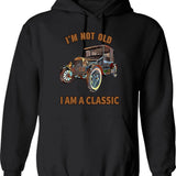 I'm Not Lost Rock Collector Geologist Collecting Hunting Gift Hoodie - Black