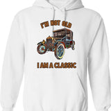 I'm Not Lost Rock Collector Geologist Collecting Hunting Gift Hoodie - White