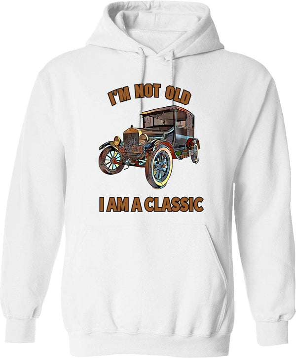 I'm Not Lost Rock Collector Geologist Collecting Hunting Gift Hoodie - White