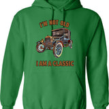 I'm Not Lost Rock Collector Geologist Collecting Hunting Gift Hoodie - Green