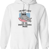 Im Not Gay But My Wife Is Hoodie - White