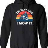 Im Saving Anal For Marriage Hoodie - Retro Graphic Pullover Hoodie for Men & Women - Black