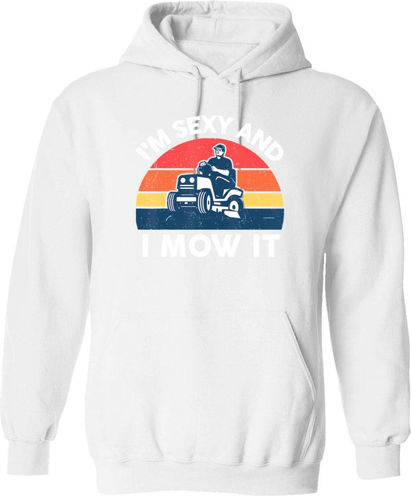 Im Saving Anal For Marriage Hoodie - Retro Graphic Pullover Hoodie for Men & Women - White