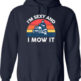 Im Saving Anal For Marriage Hoodie - Retro Graphic Pullover Hoodie for Men & Women - Navy