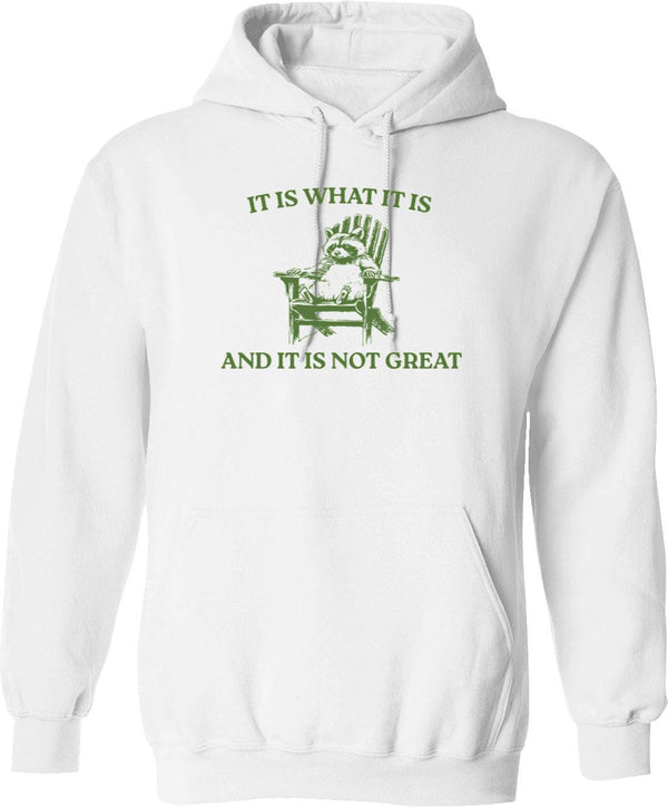 It Is What It Is And It Is Not Great Memes Hoodie - White