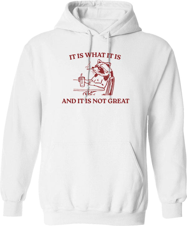 It Is What It Is And It Is Not Great Memes (1) Hoodie - White
