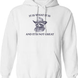 It Is What It Is (1) Hoodie - White