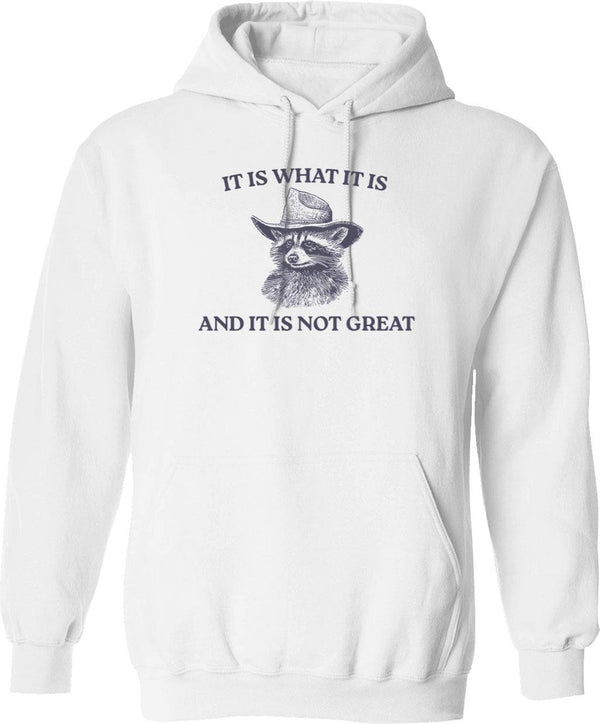 It Is What It Is (1) Hoodie - White