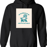 It Is What It Is And It Is Not Great Retro Raccoon Hoodie - Black
