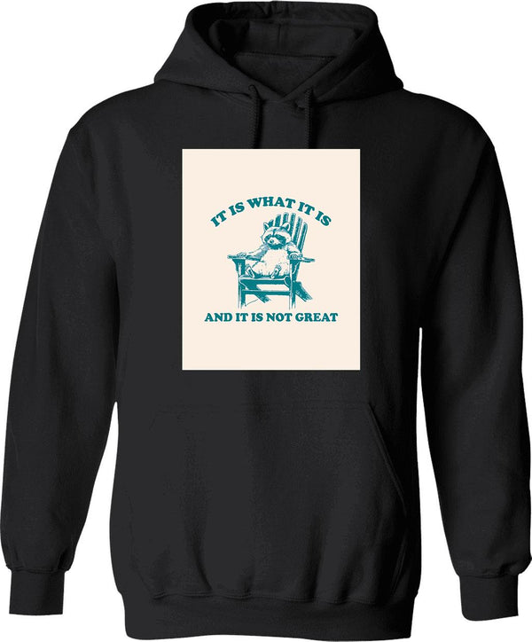 It Is What It Is And It Is Not Great Retro Raccoon Hoodie - Black