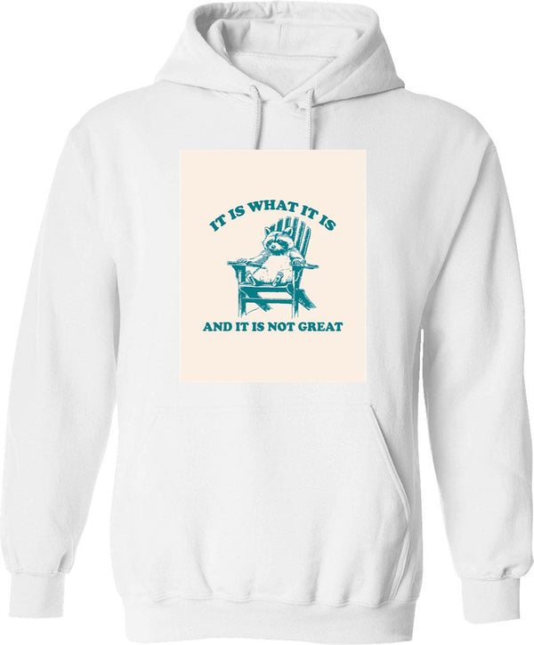 It Is What It Is And It Is Not Great Retro Raccoon Hoodie - White