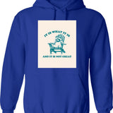 It Is What It Is And It Is Not Great Retro Raccoon Hoodie - Blue