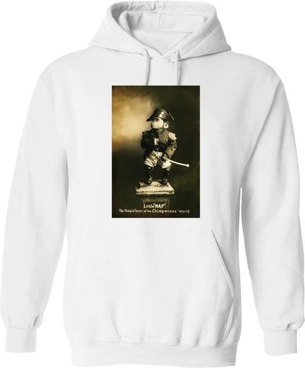 Little Miss Scientist Hoodie - Retro Graphic Pullover Hoodie for Men & Women - White