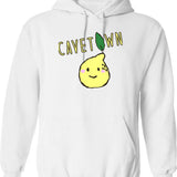 Love Forever Changes Hoodie - Retro Graphic Pullover Hoodie for Men & Women - White